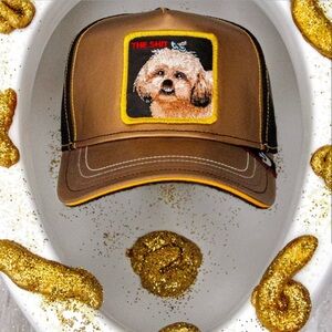 Limited Edition Goorin Brothers "Shih Don't Stink” Shitzu Trucker Hat
